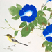 Seika Tatsumoto Gallery